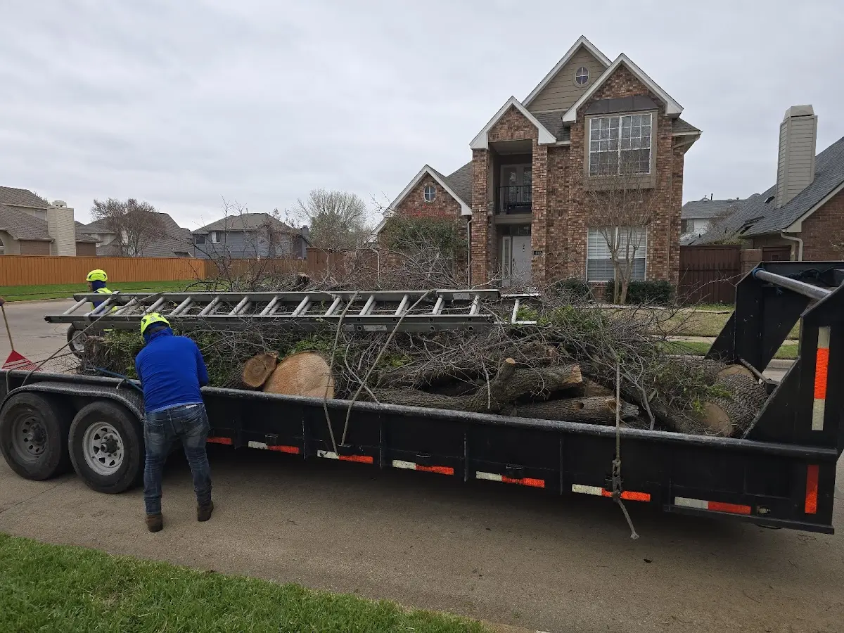 Expert Tree Fertilization with proper safety equipment in Round Lake